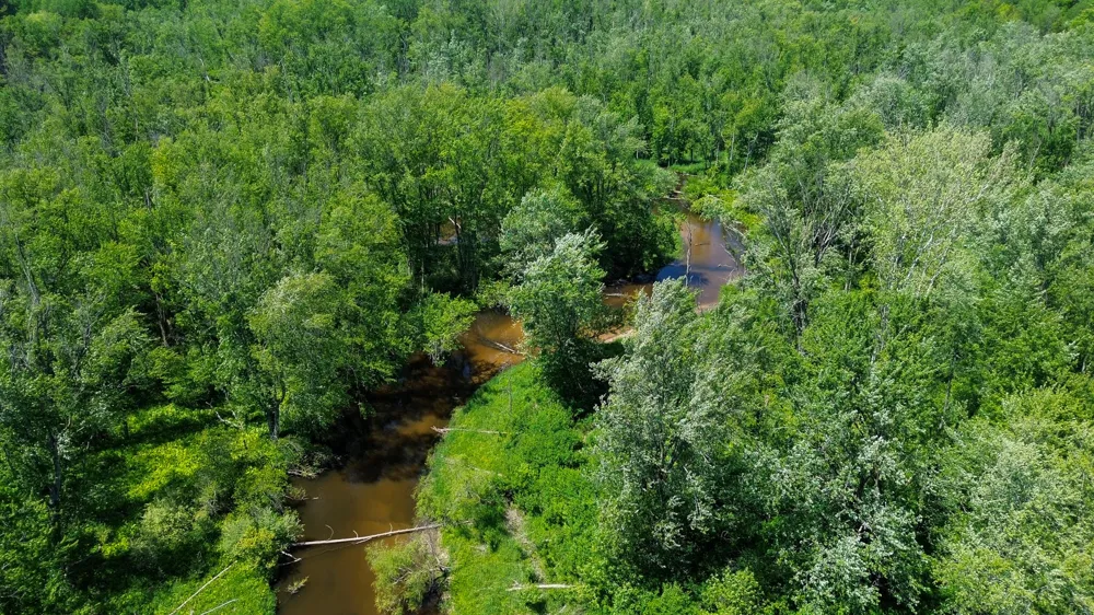 3804 E Wilson Road Custer, MI 49405