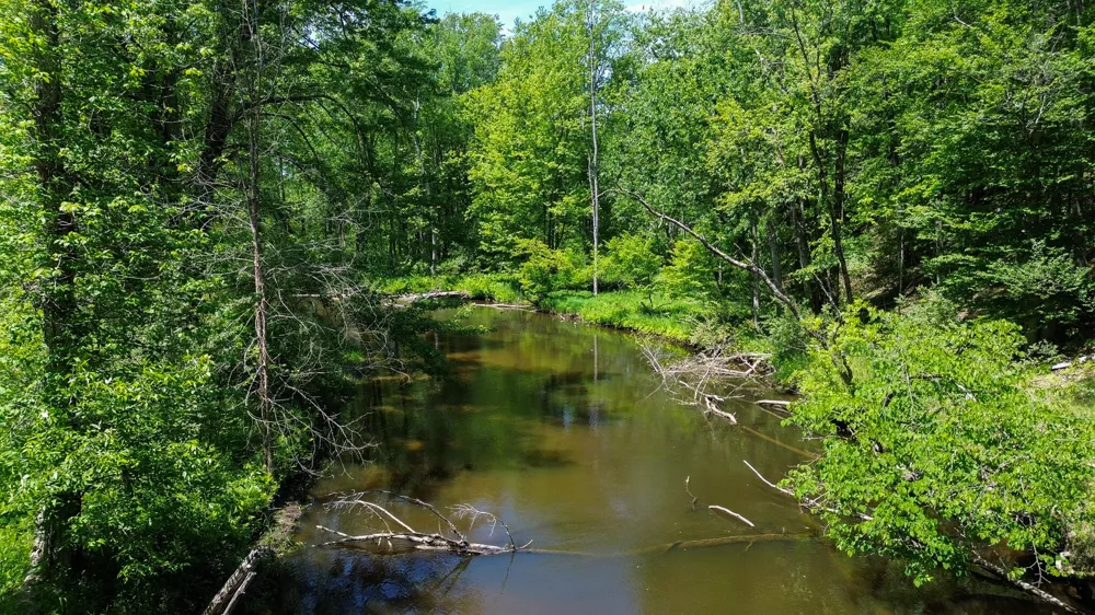 3804 E Wilson Road Custer, MI 49405