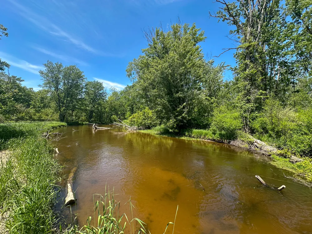 3804 E Wilson Road Custer, MI 49405