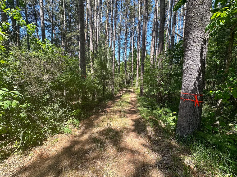 3804 E Wilson Road Custer, MI 49405