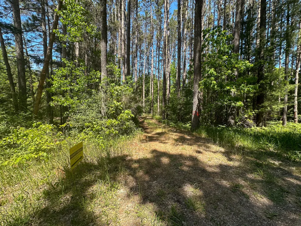 3804 E Wilson Road Custer, MI 49405