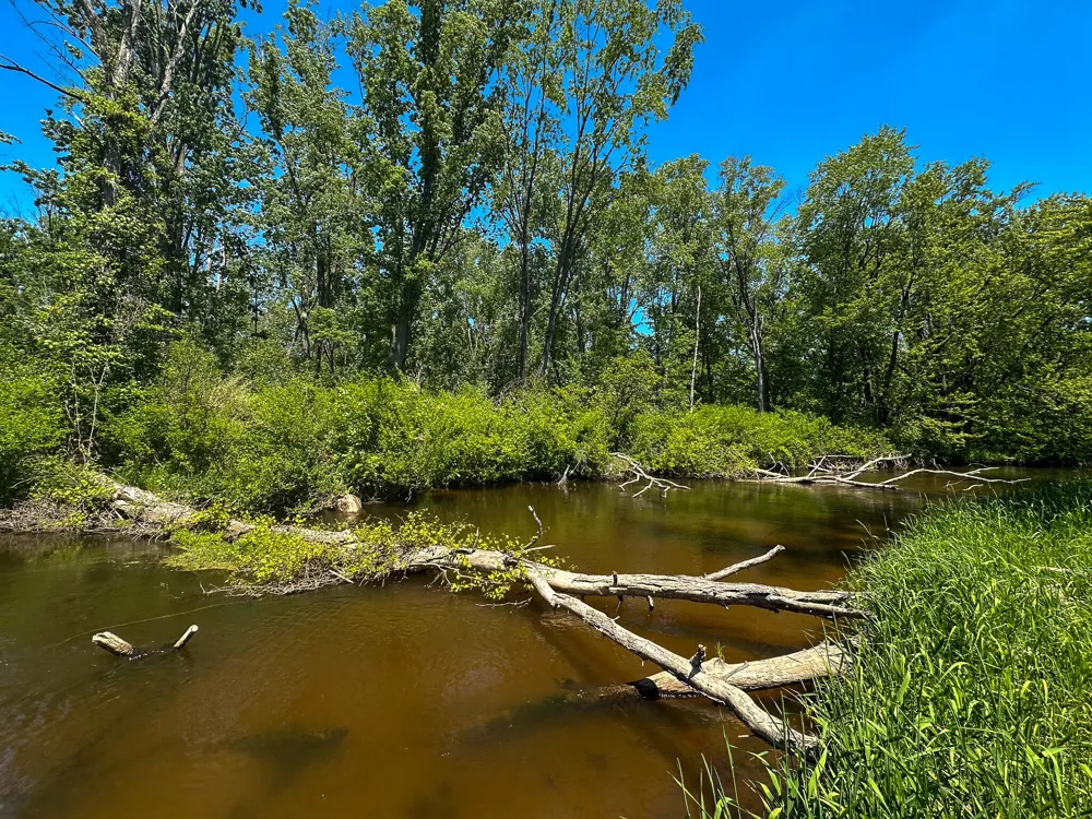 3804 E Wilson Road Custer, MI 49405