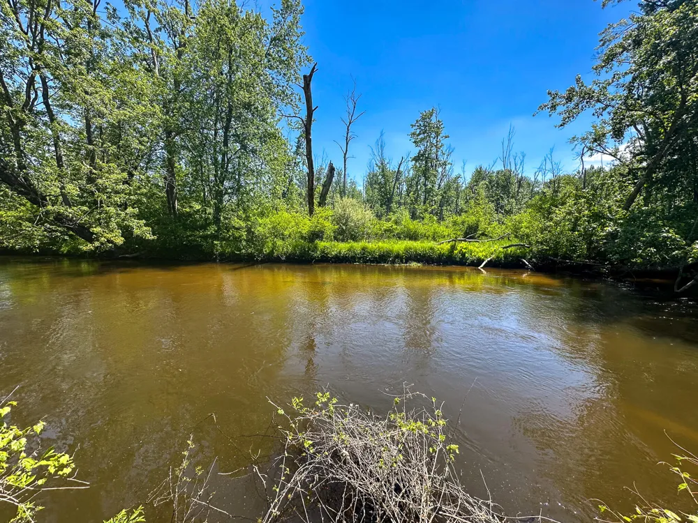 3804 E Wilson Road Custer, MI 49405