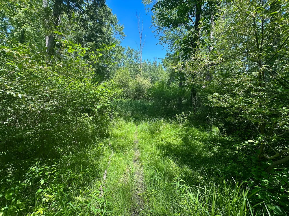 3804 E Wilson Road Custer, MI 49405