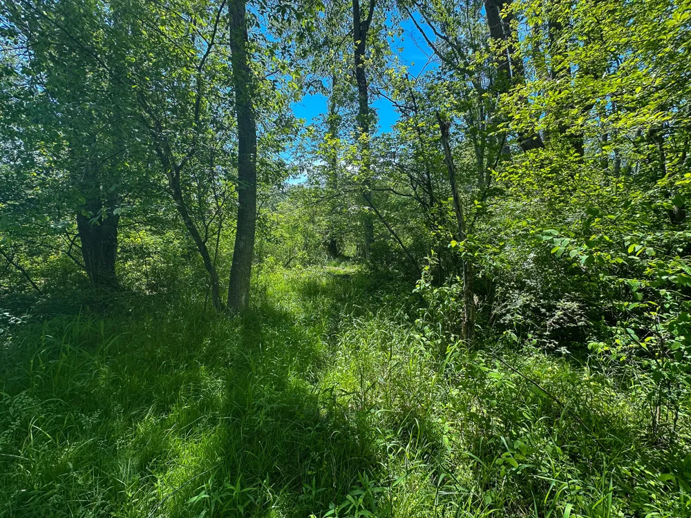 3804 E Wilson Road Custer, MI 49405