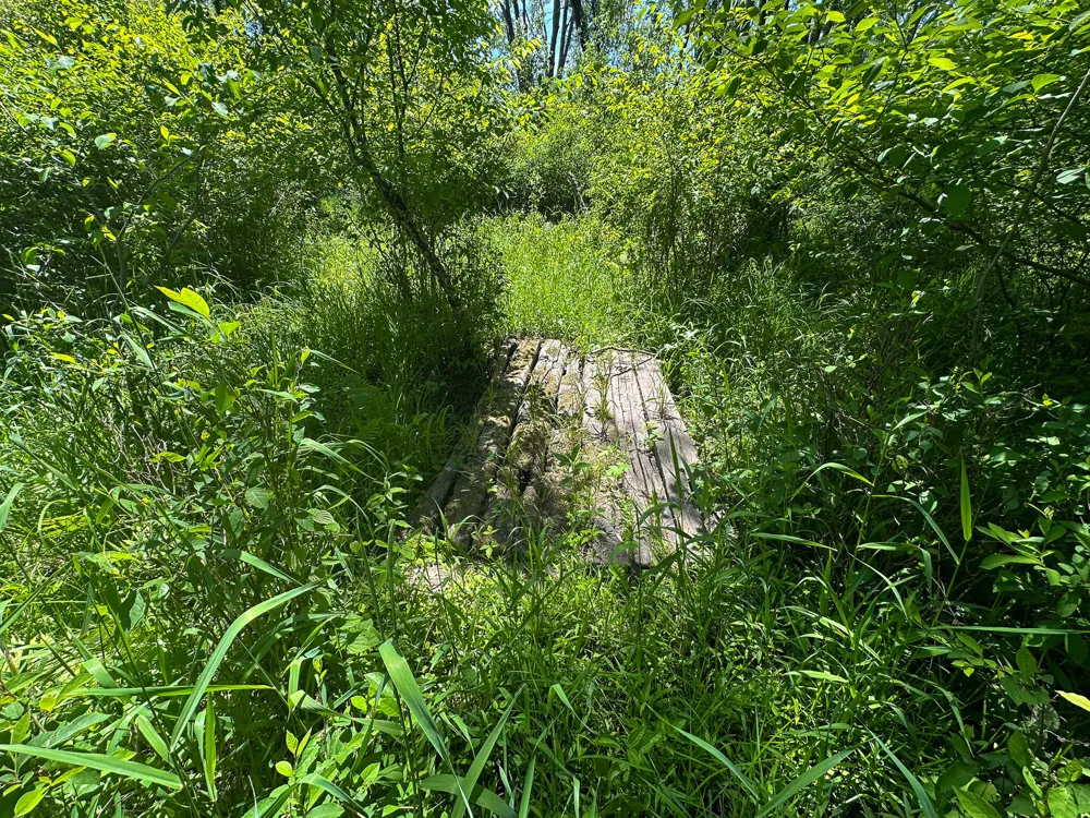 3804 E Wilson Road Custer, MI 49405