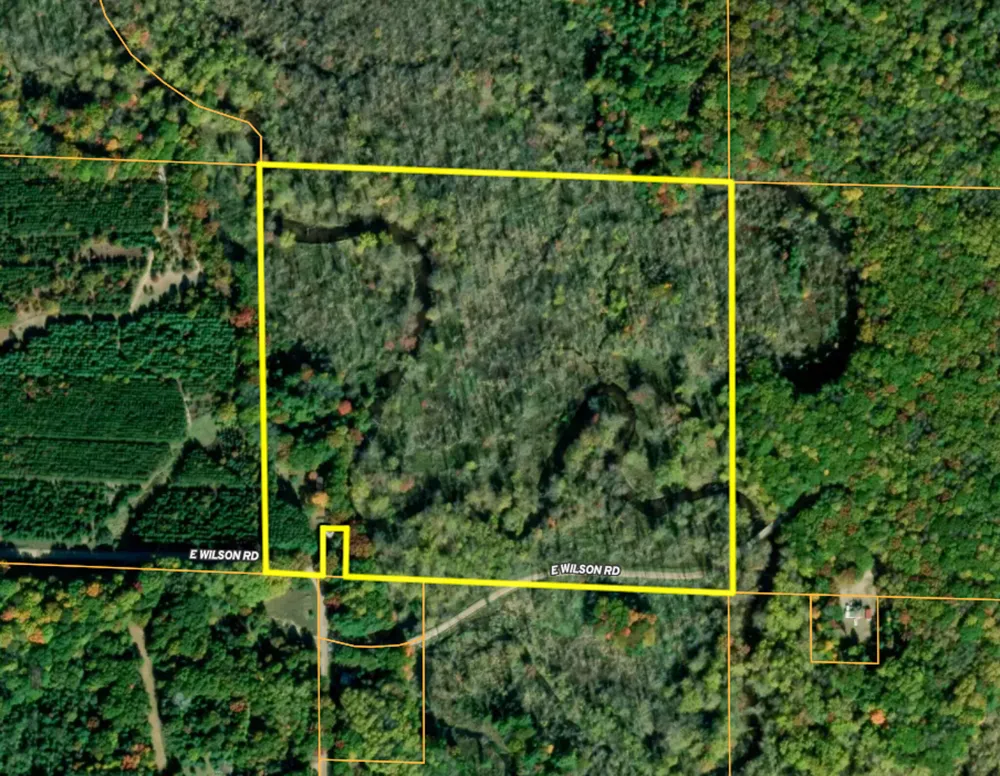 3804 E Wilson Road Custer, MI 49405