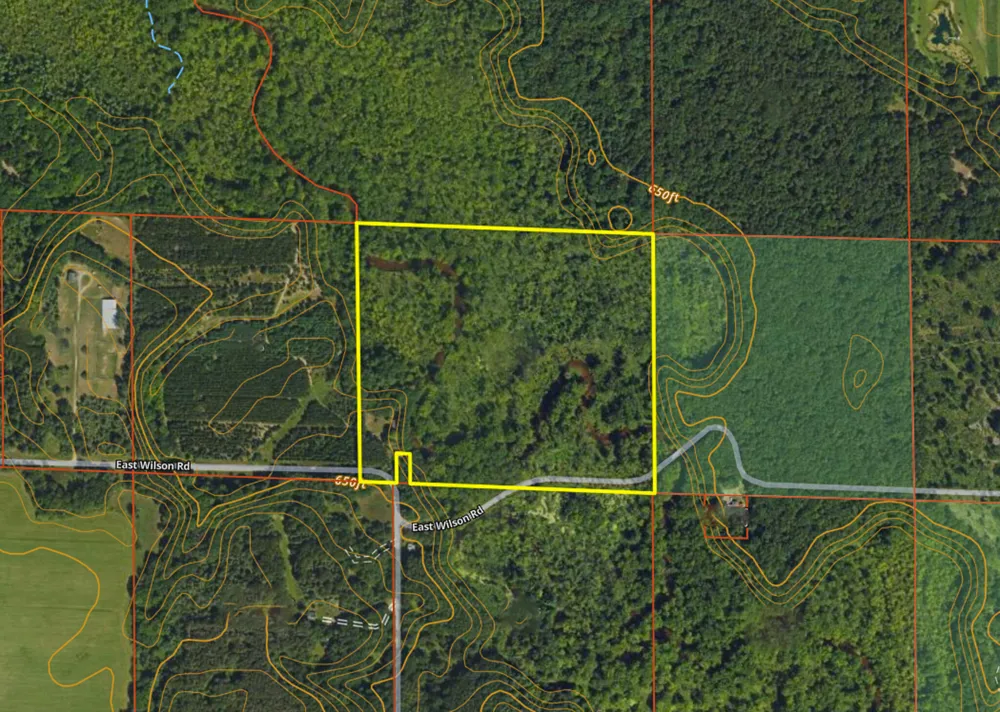 3804 E Wilson Road Custer, MI 49405