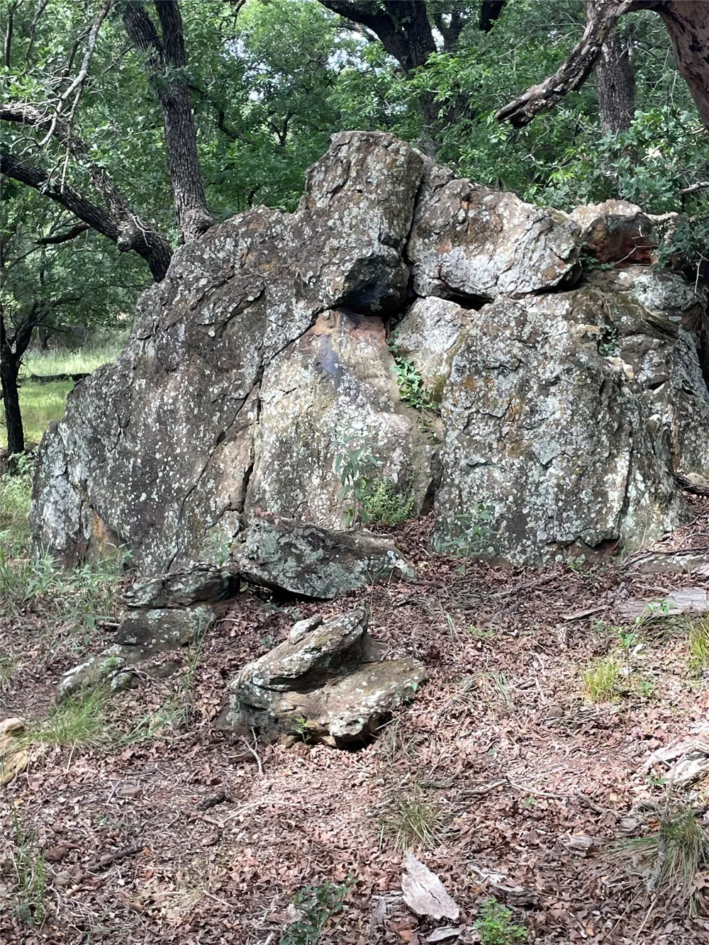 31 Hoefle Road Jacksboro, TX 76458
