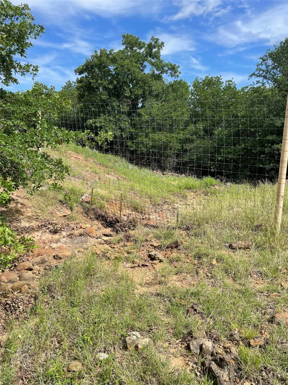 31 Hoefle Road Jacksboro, TX 76458