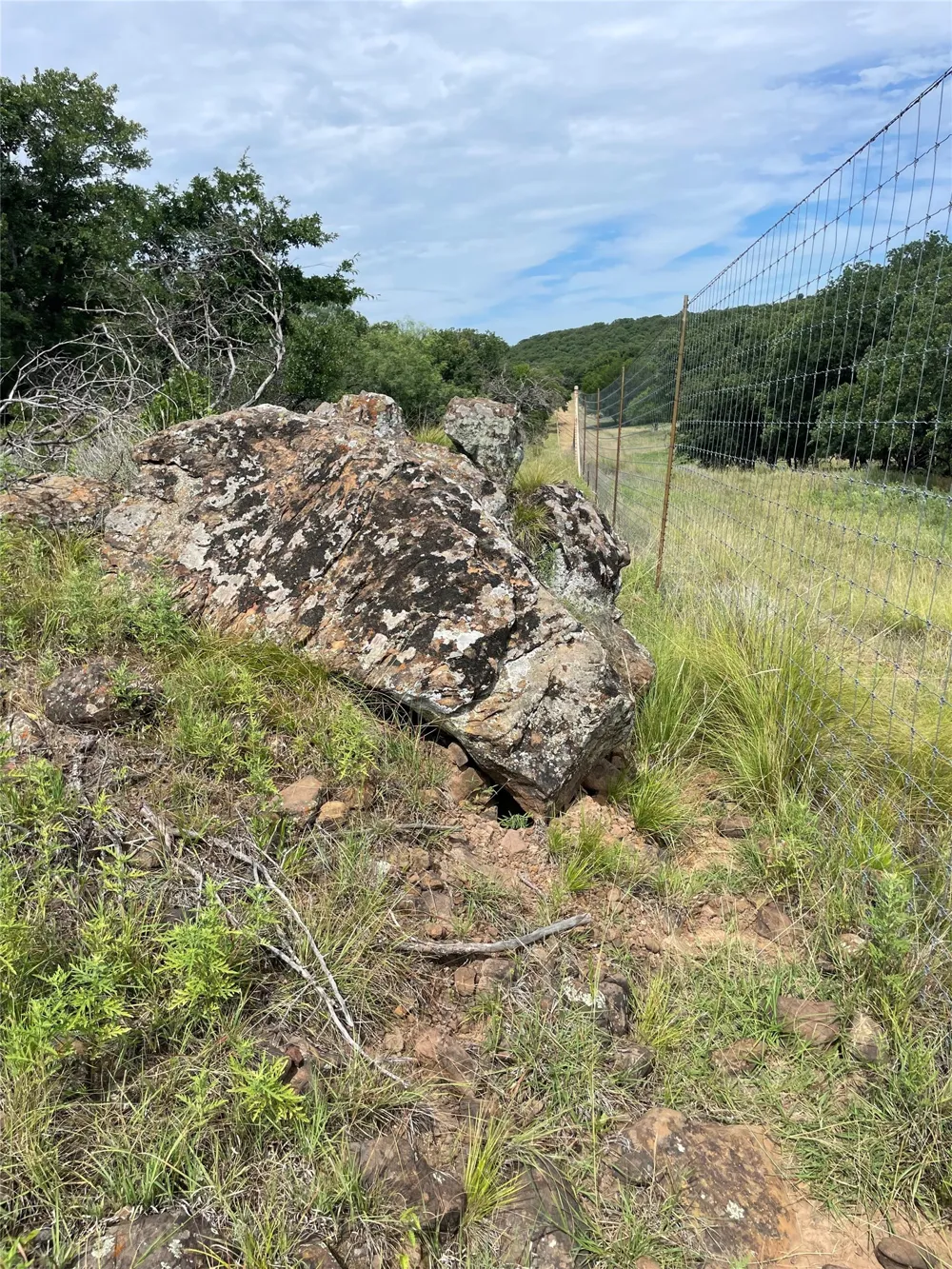 31 Hoefle Road Jacksboro, TX 76458