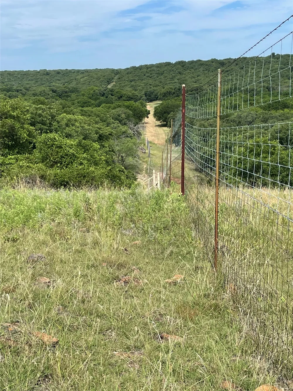 31 Hoefle Road Jacksboro, TX 76458