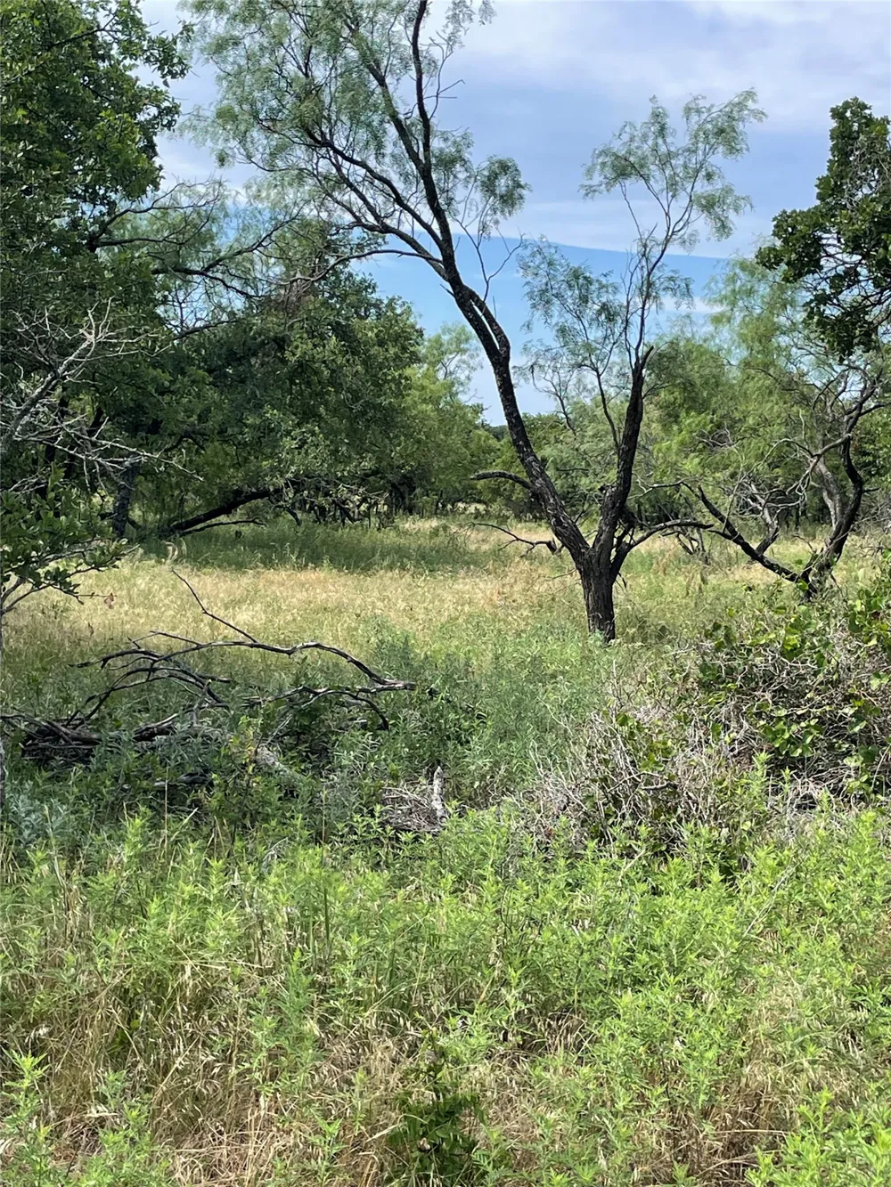 31 Hoefle Road Jacksboro, TX 76458
