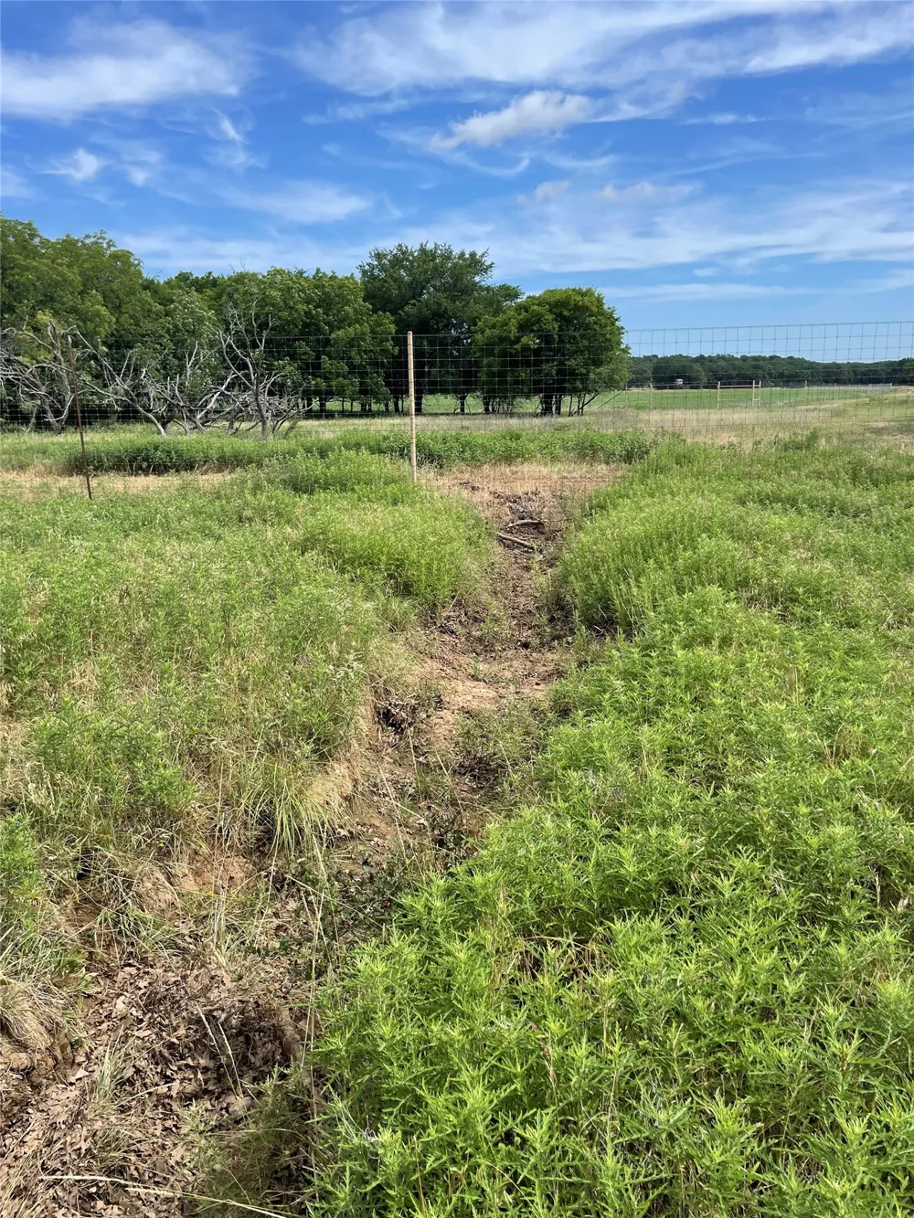 31 Hoefle Road Jacksboro, TX 76458