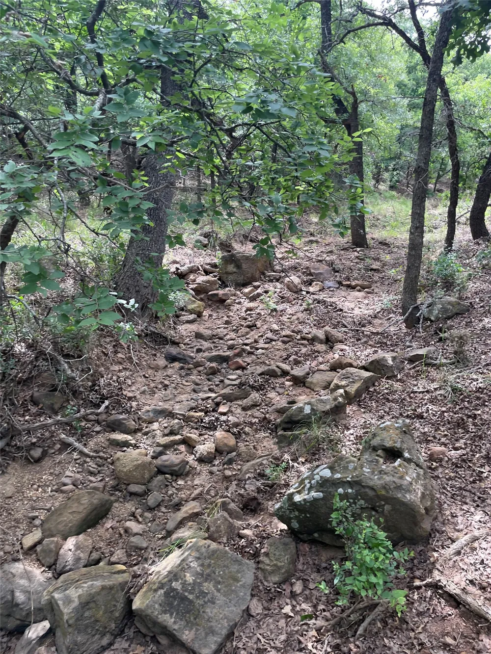31 Hoefle Road Jacksboro, TX 76458