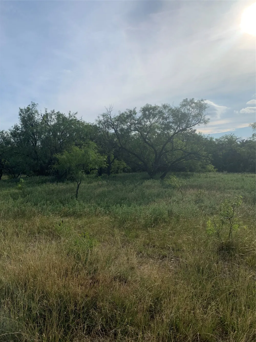 31 Hoefle Road Jacksboro, TX 76458