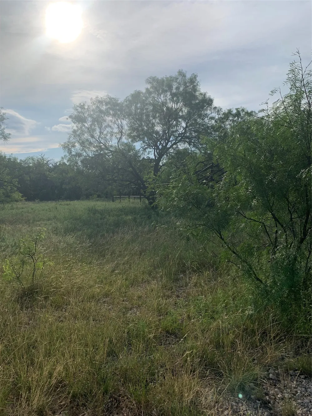 31 Hoefle Road Jacksboro, TX 76458
