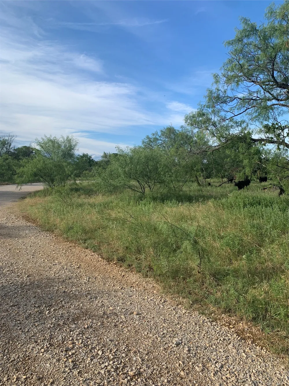 31 Hoefle Road Jacksboro, TX 76458