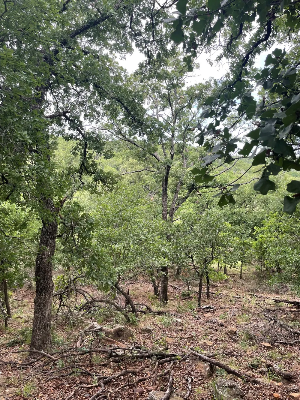 31 Hoefle Road Jacksboro, TX 76458