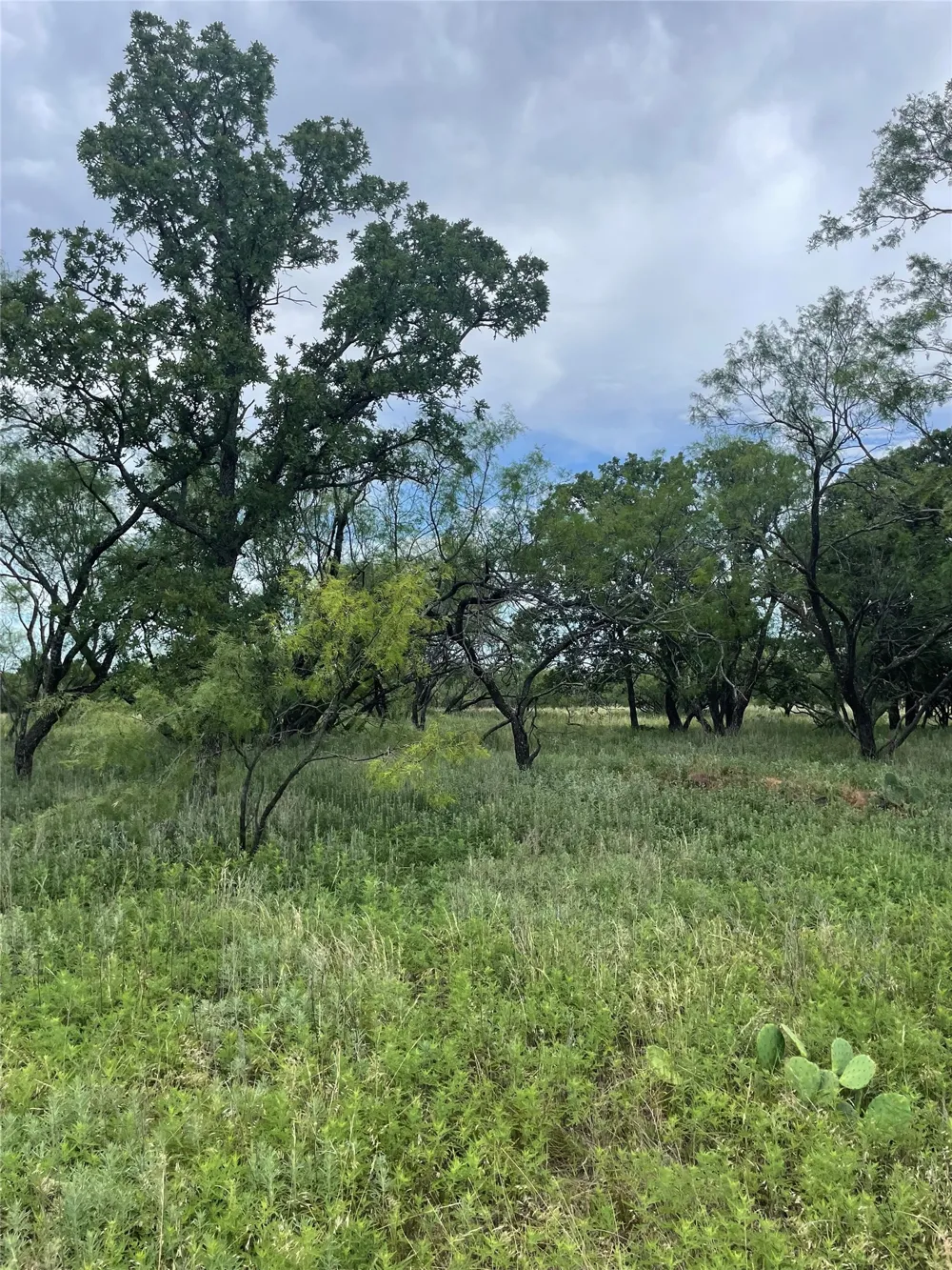 31 Hoefle Road Jacksboro, TX 76458
