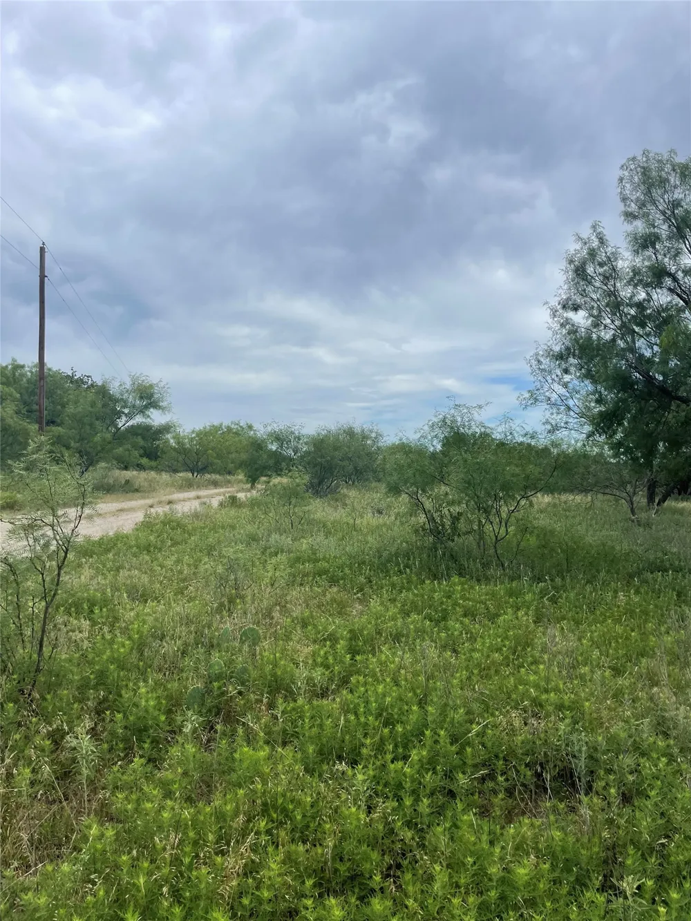 31 Hoefle Road Jacksboro, TX 76458