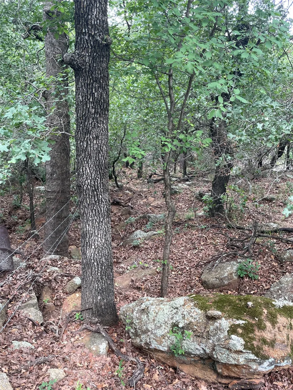 31 Hoefle Road Jacksboro, TX 76458