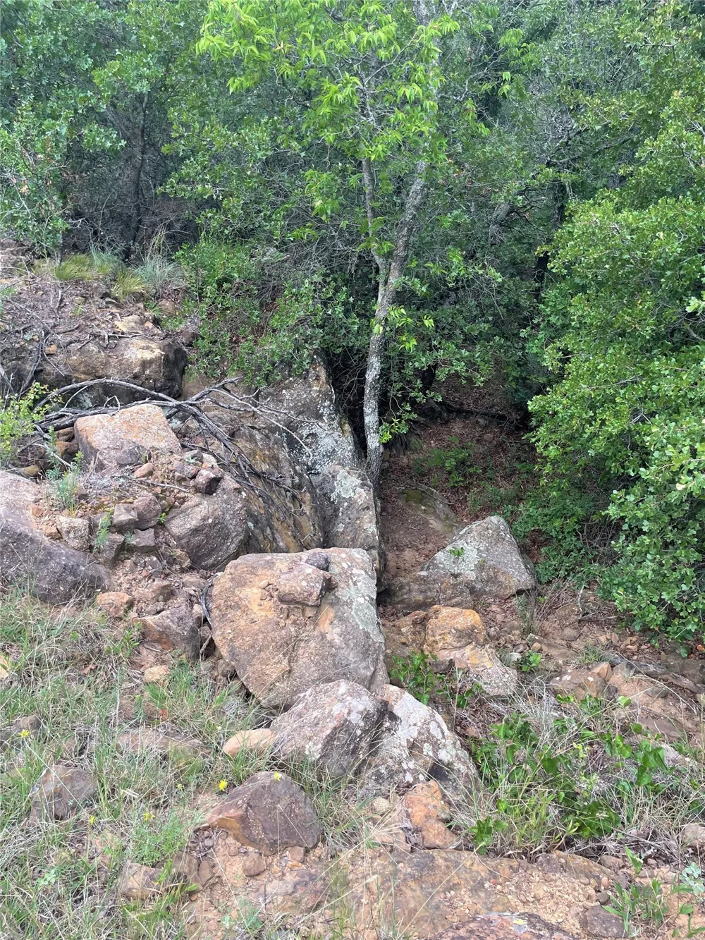 31 Hoefle Road Jacksboro, TX 76458