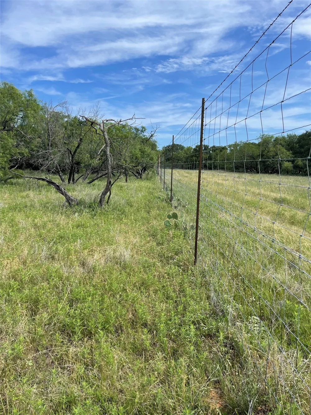 31 Hoefle Road Jacksboro, TX 76458