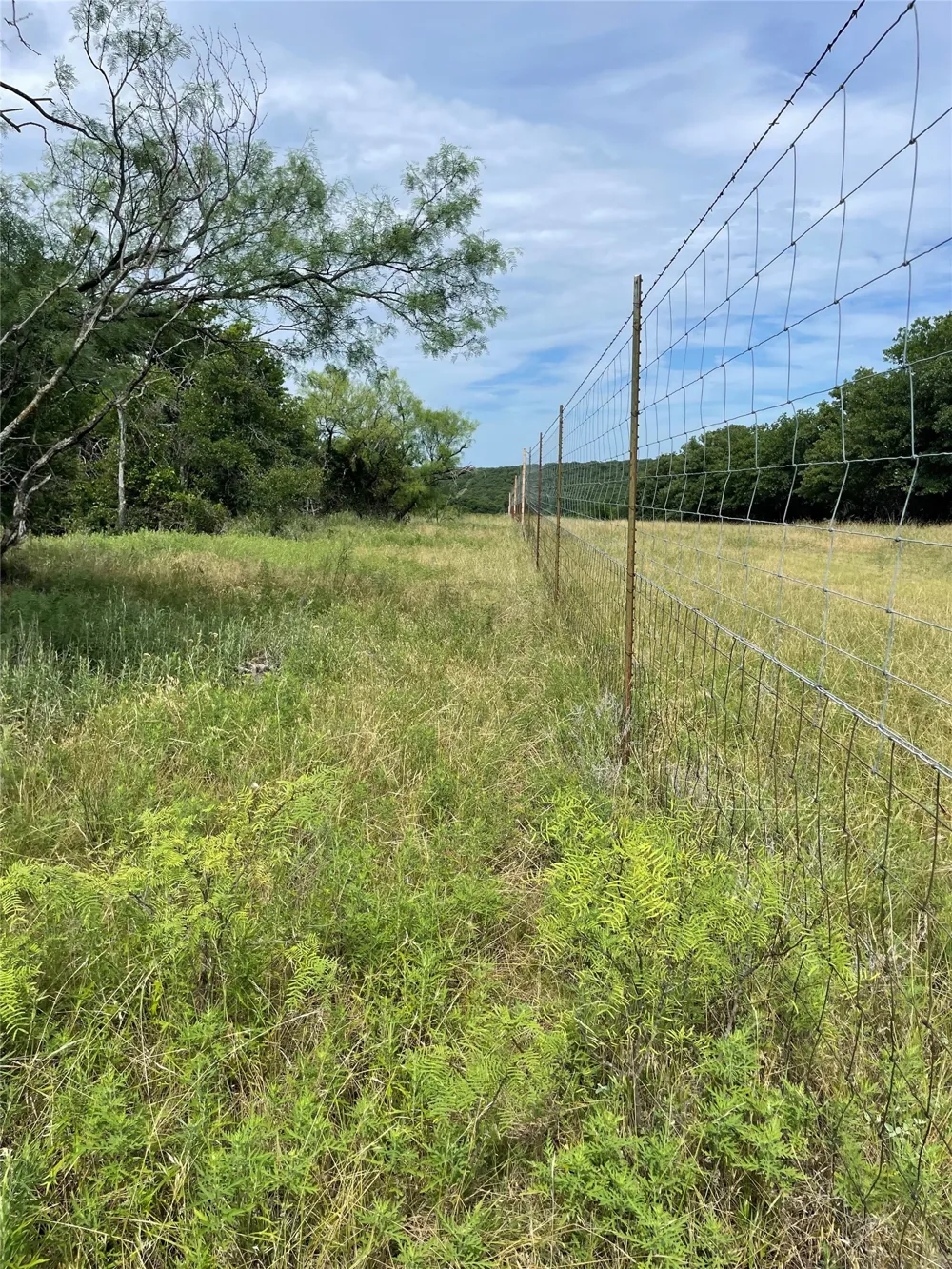 31 Hoefle Road Jacksboro, TX 76458