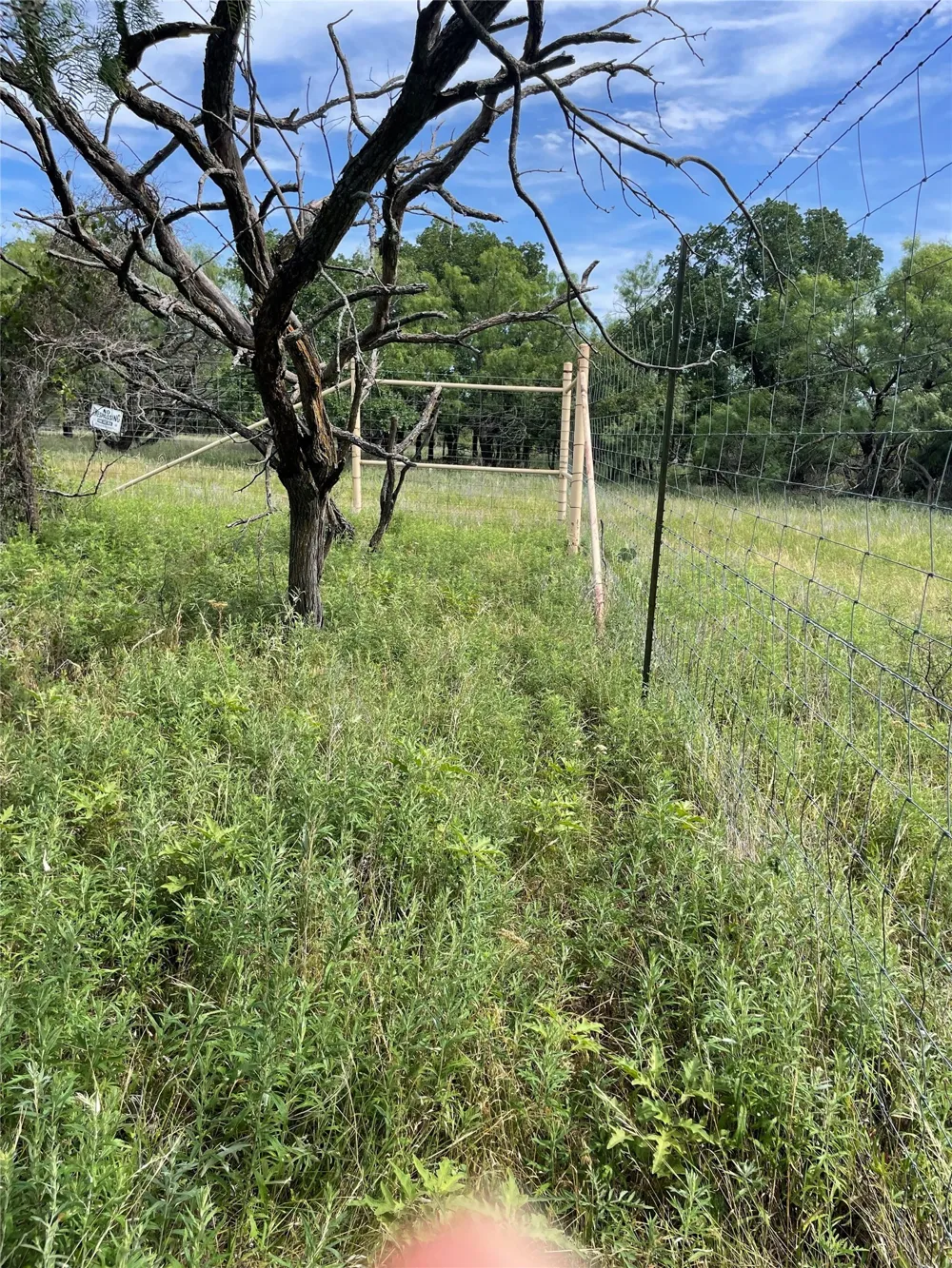31 Hoefle Road Jacksboro, TX 76458