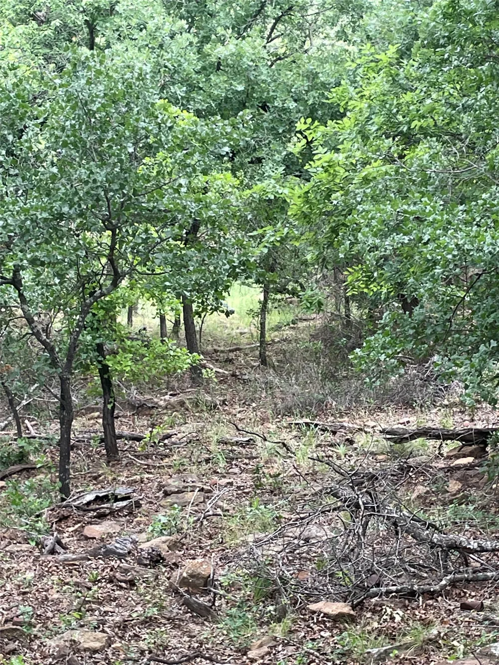 31 Hoefle Road Jacksboro, TX 76458