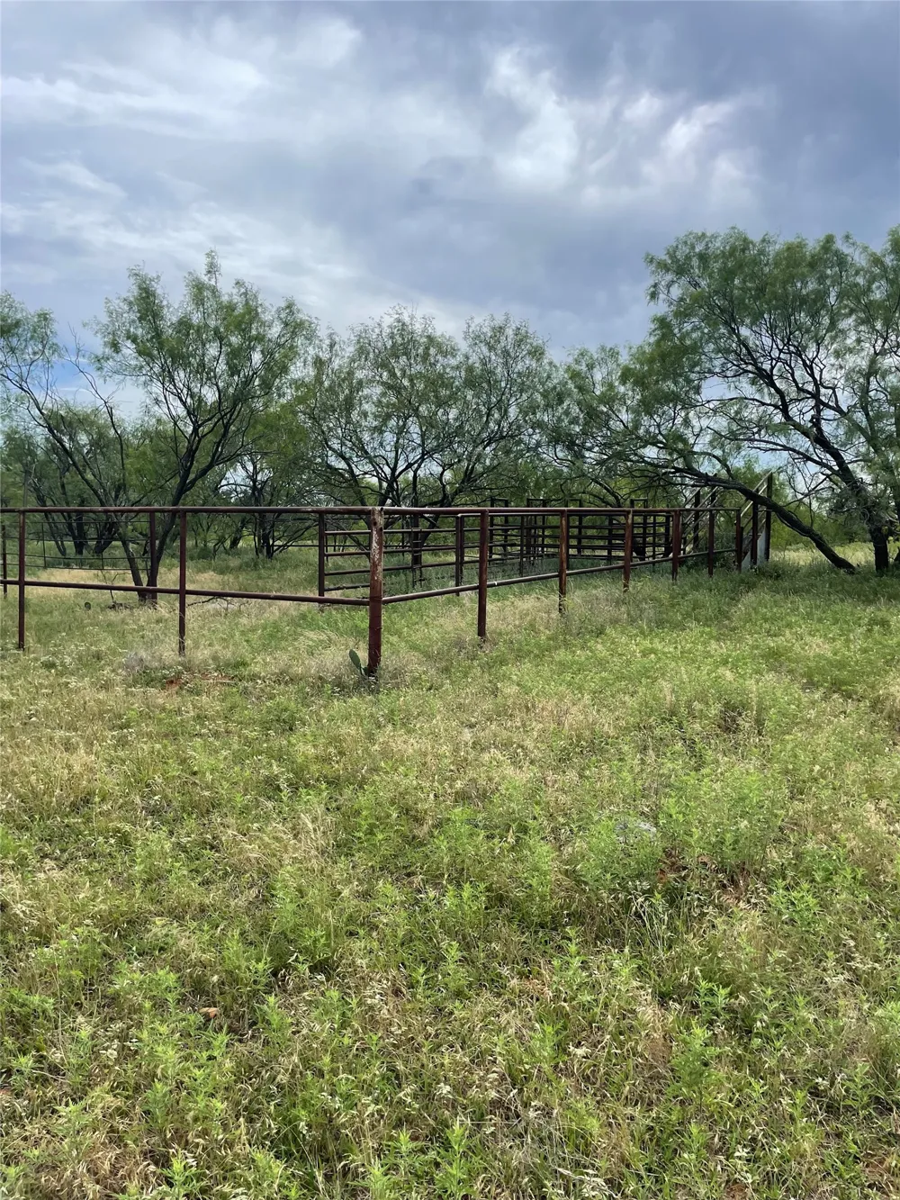 31 Hoefle Road Jacksboro, TX 76458
