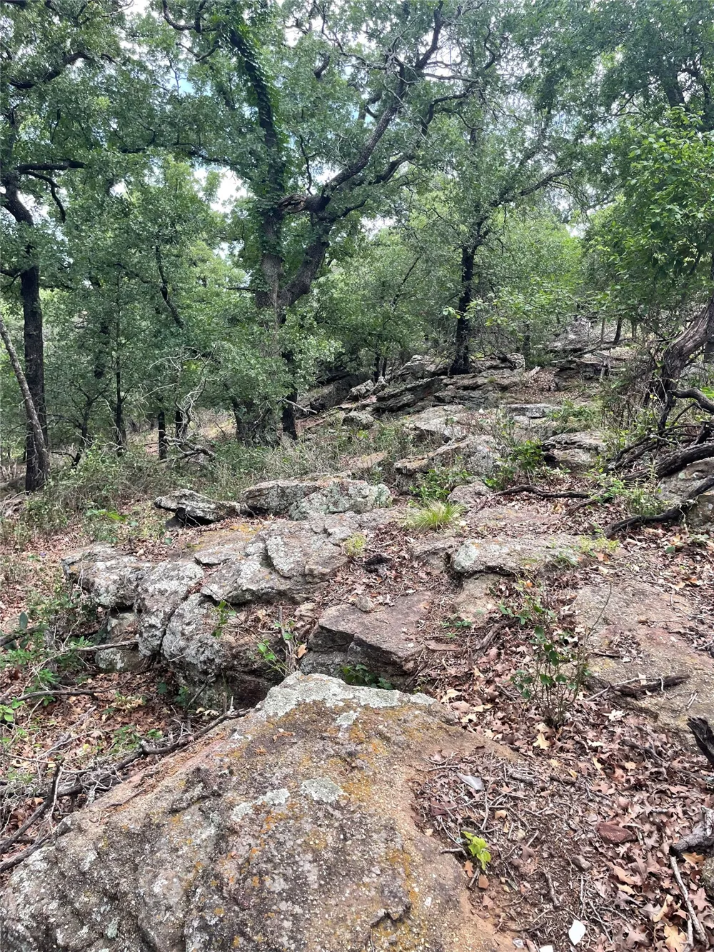 31 Hoefle Road Jacksboro, TX 76458