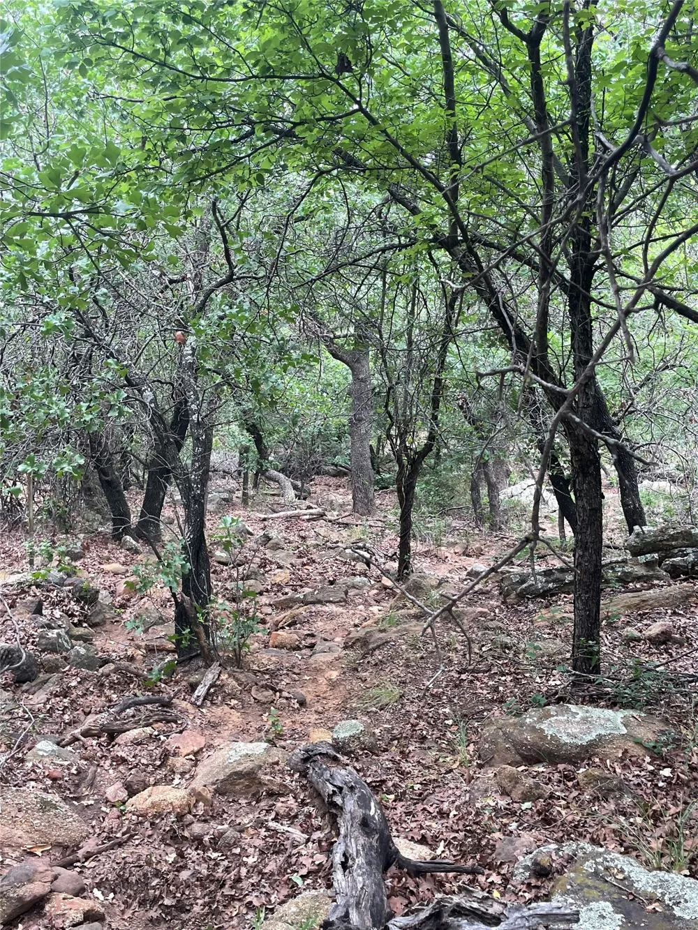 31 Hoefle Road Jacksboro, TX 76458