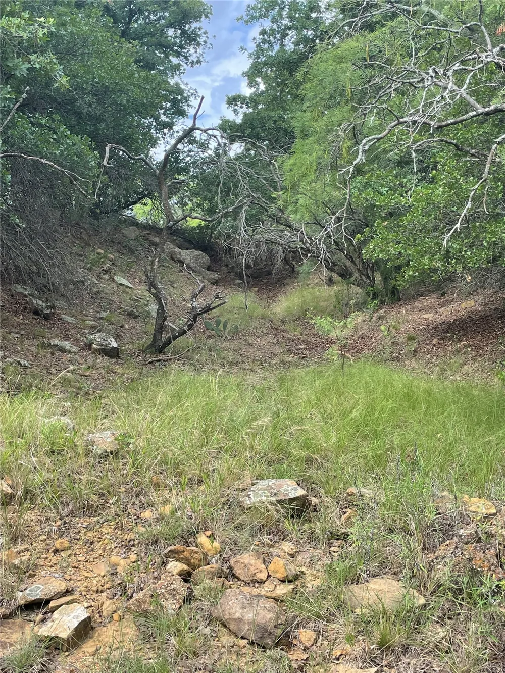 31 Hoefle Road Jacksboro, TX 76458