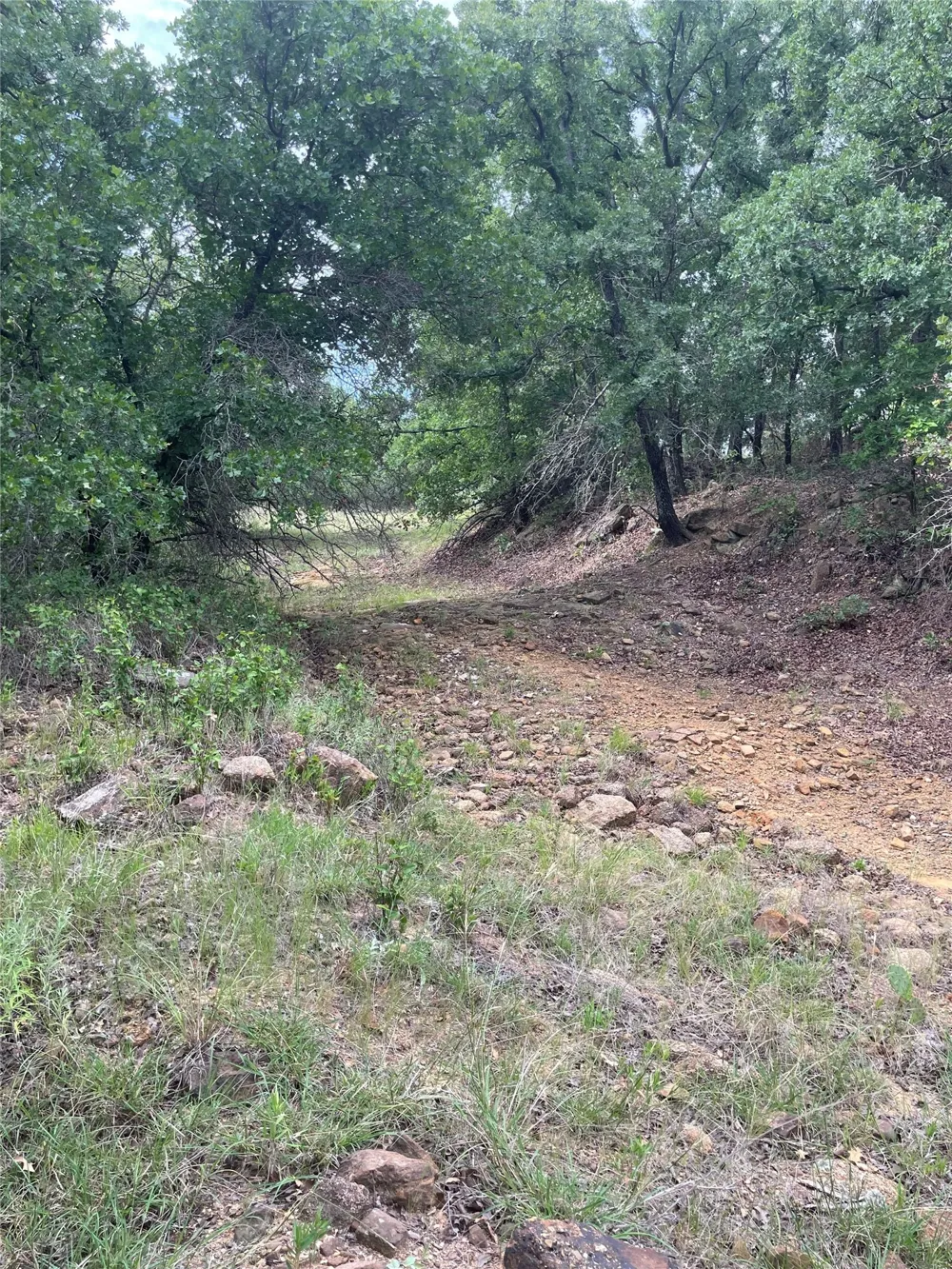 31 Hoefle Road Jacksboro, TX 76458
