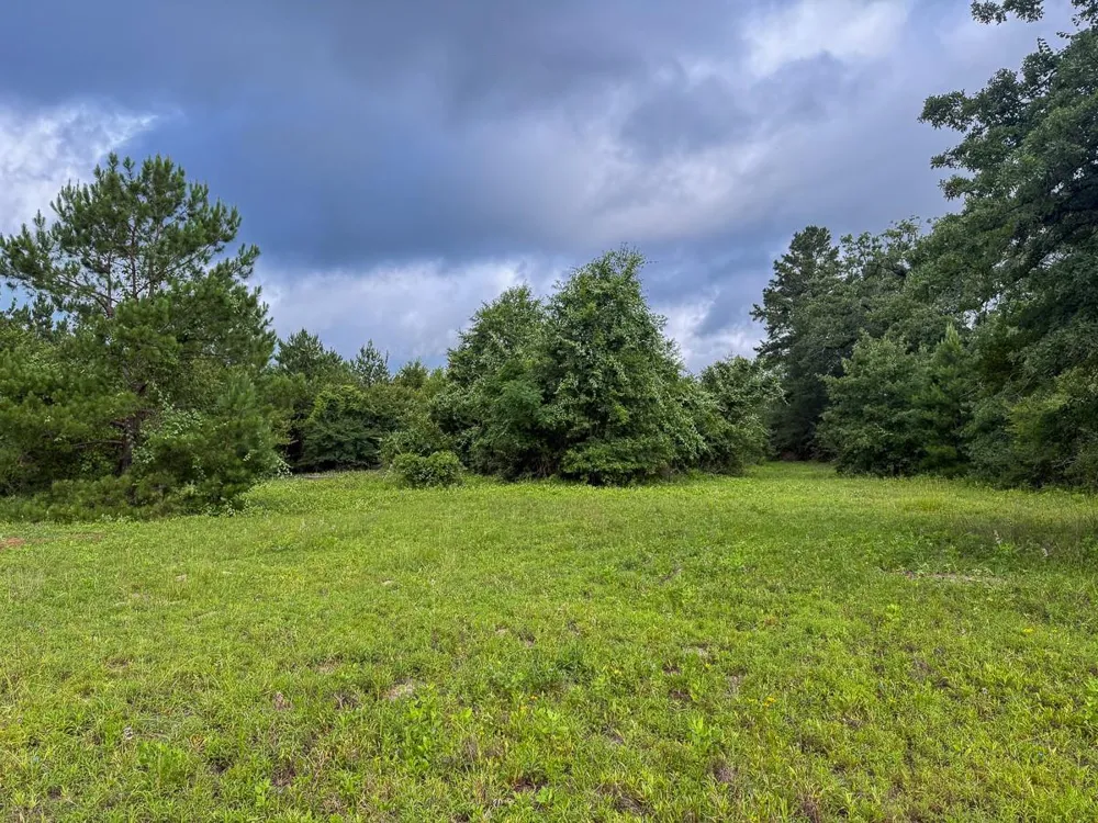 County Road 227 Bedias, TX 77831