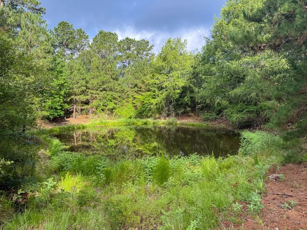 County Road 227 Bedias, TX 77831