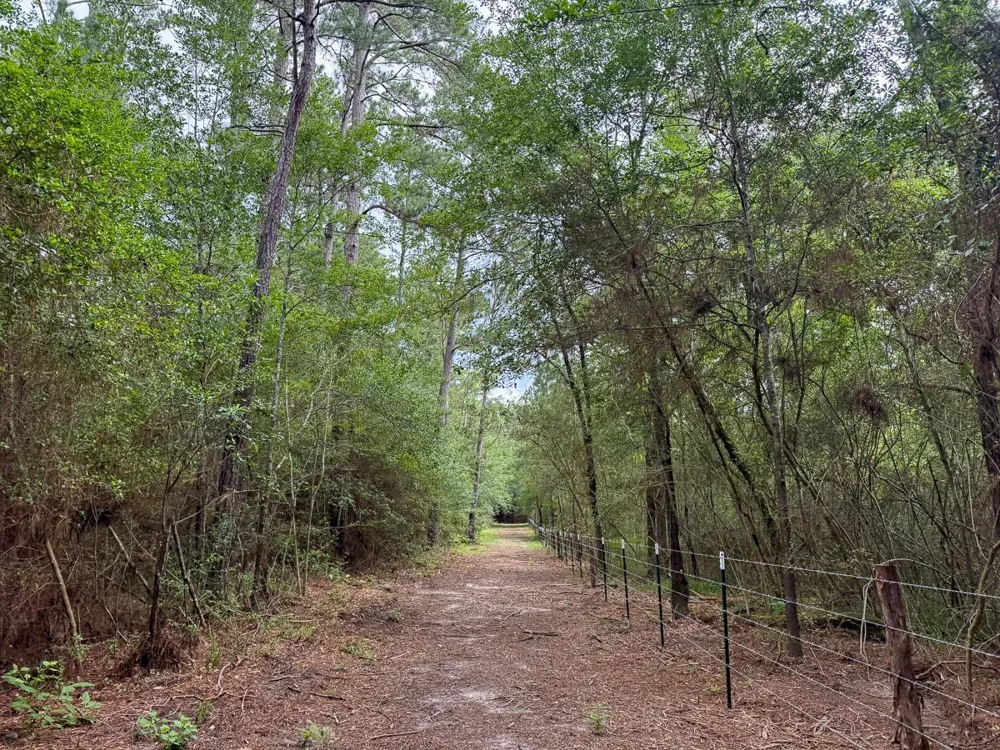 County Road 227 Bedias, TX 77831