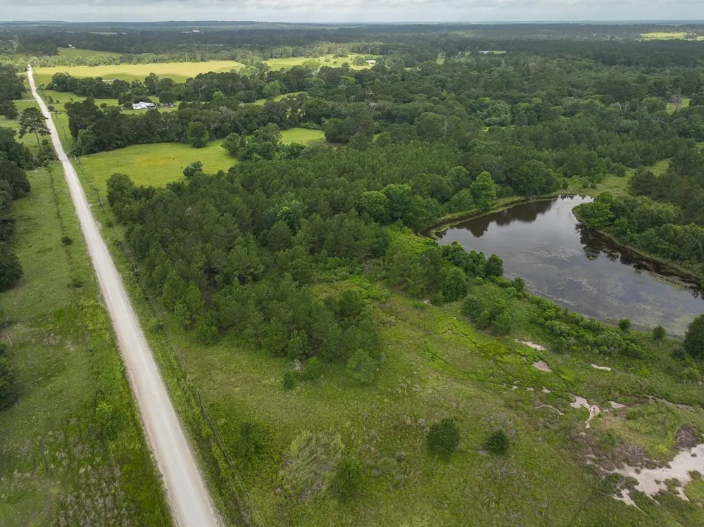 County Road 227 Bedias, TX 77831