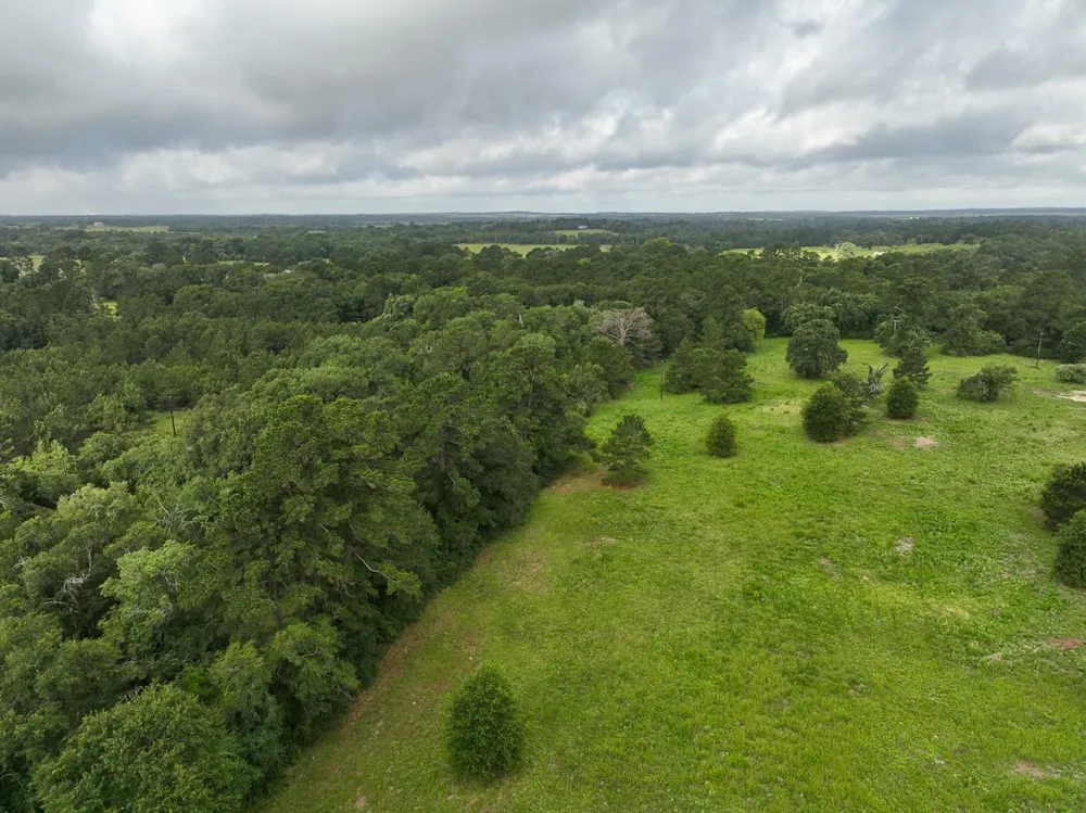 County Road 227 Bedias, TX 77831