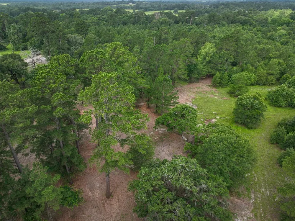 County Road 227 Bedias, TX 77831