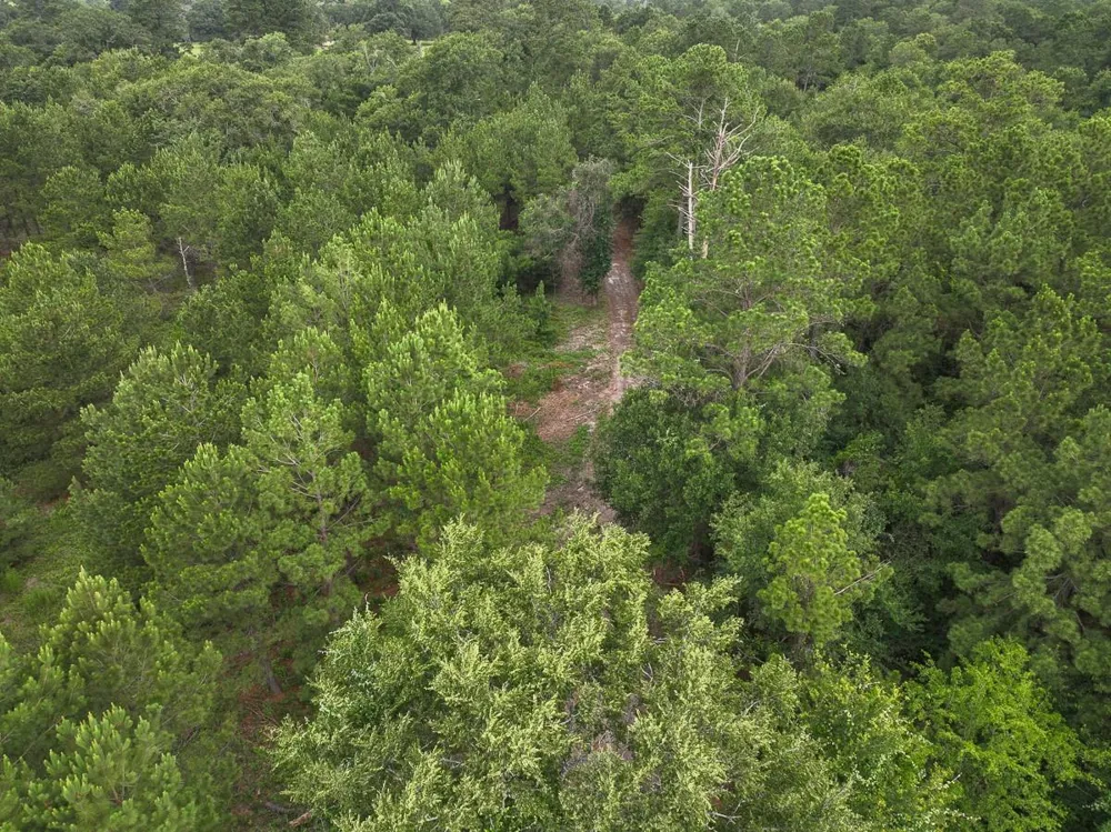 County Road 227 Bedias, TX 77831