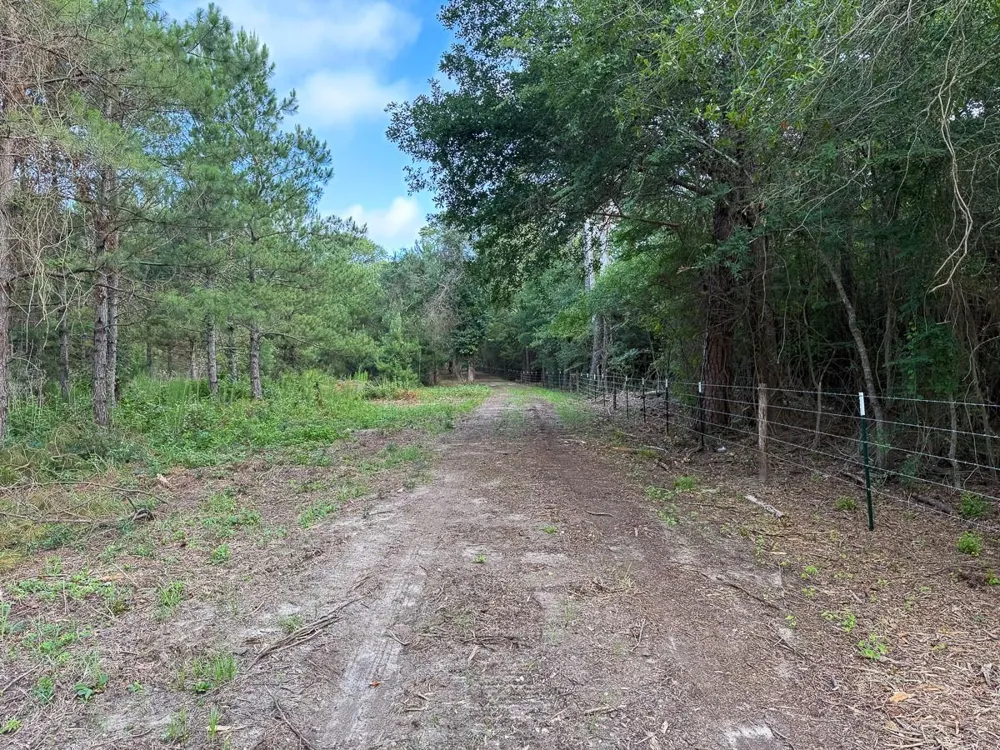 County Road 227 Bedias, TX 77831