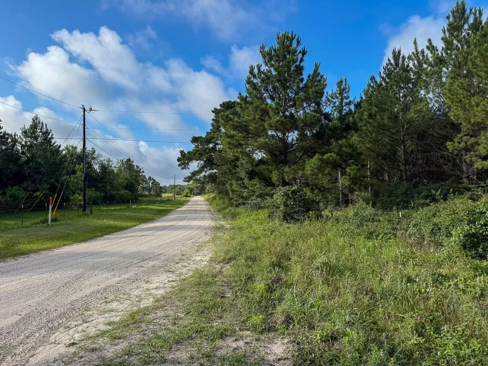 County Road 227 Bedias, TX 77831