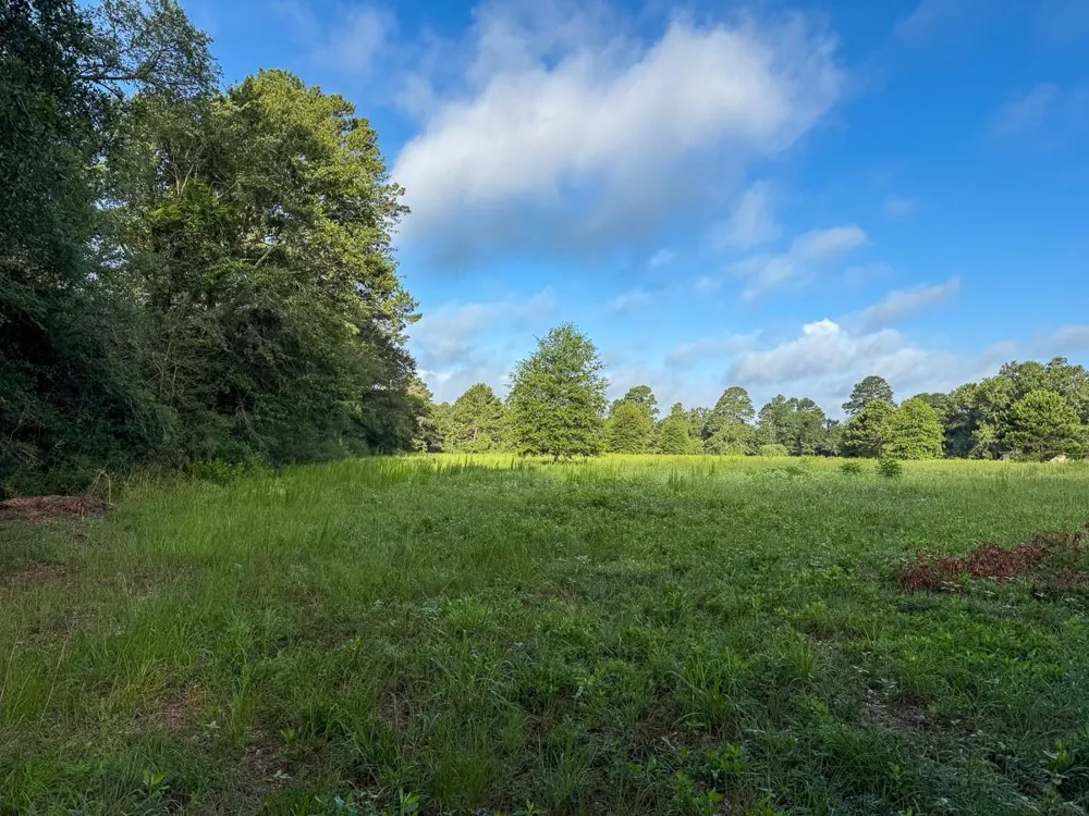 County Road 227 Bedias, TX 77831