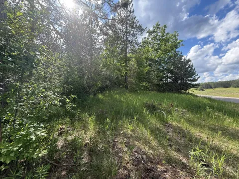 V/L Bear Paw Trail #10