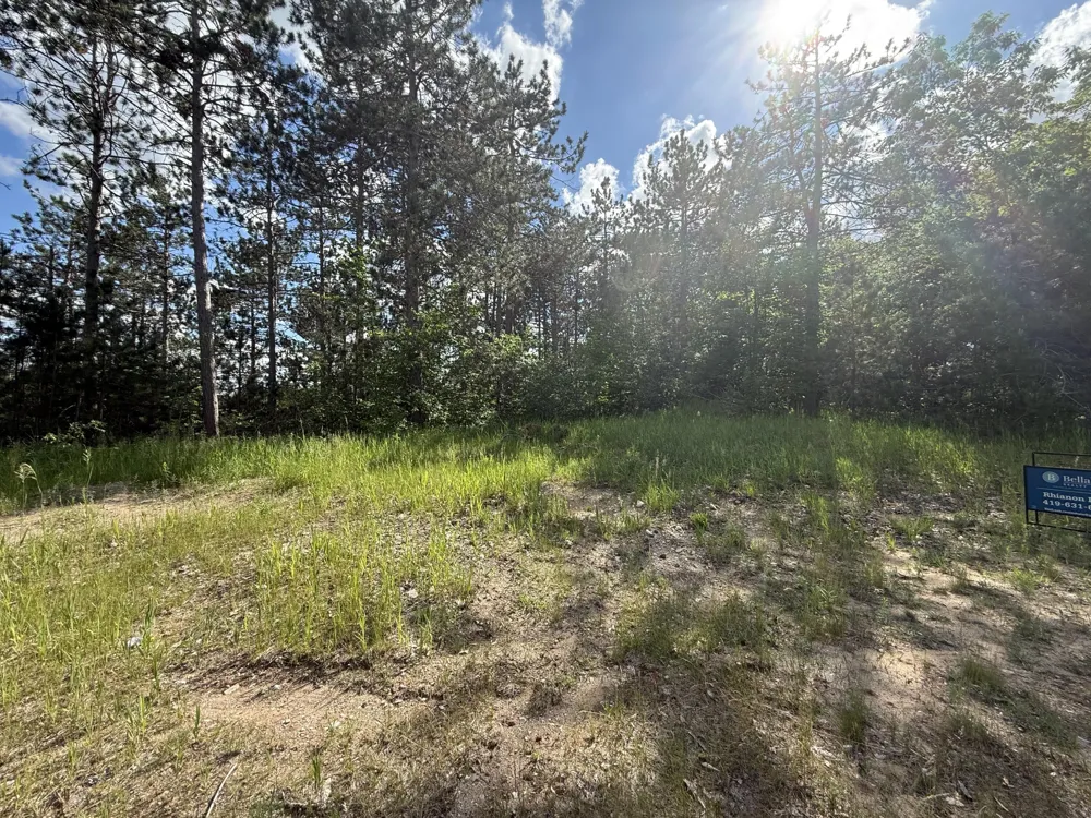 V/L Bear Paw Trail #10 VanderBilt, MI 49795