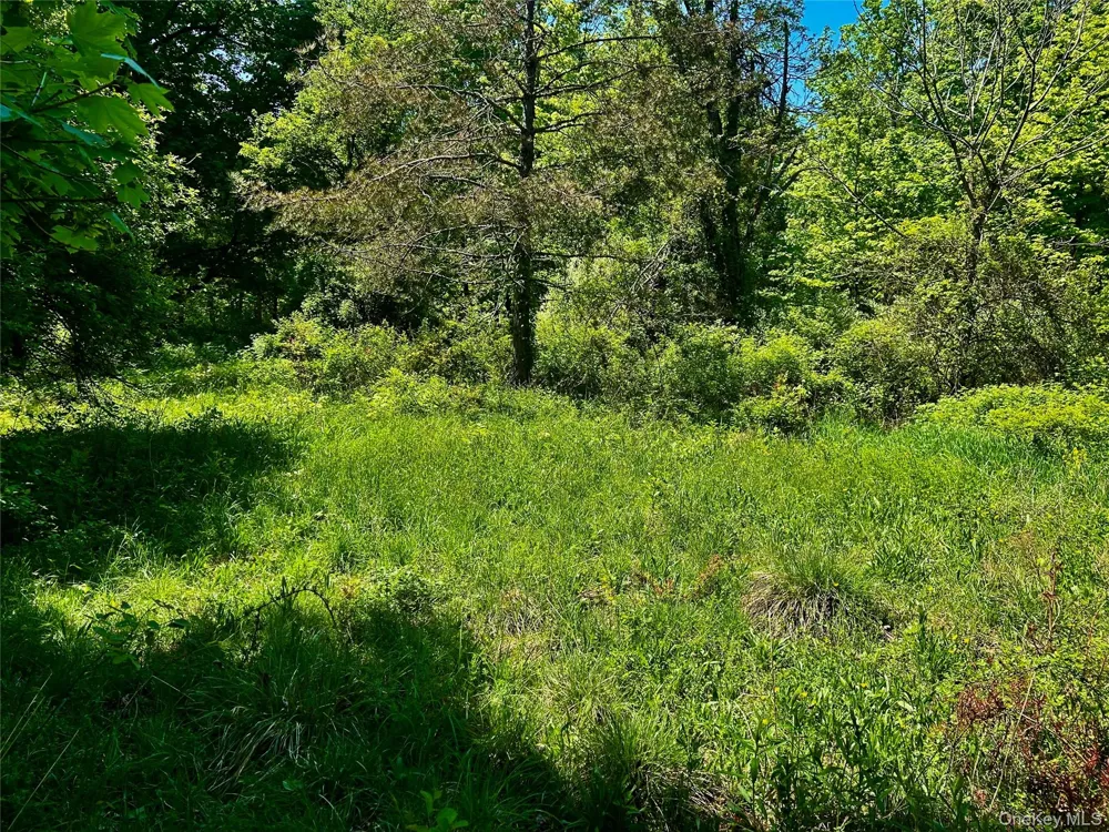 73 North Creek Road Staatsburg, NY 12580