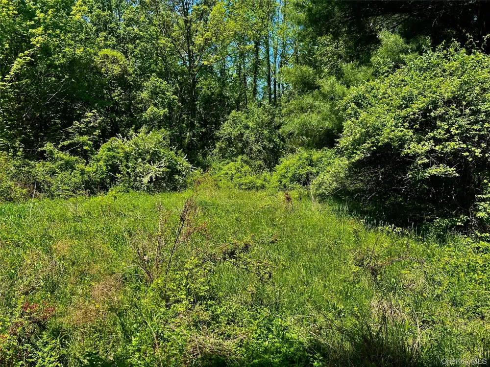 73 North Creek Road Staatsburg, NY 12580